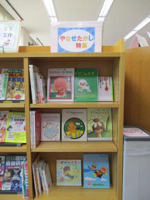 展示の様子