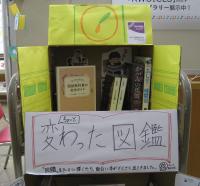 図書館学研究会「KWUICLS」　展示の様子