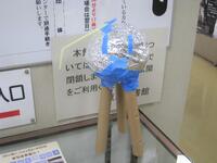 作品の写真