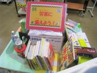 展示の様子