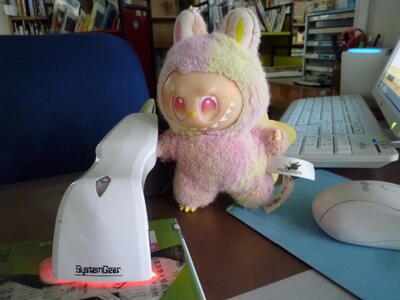 ぬいぐるみおとまり会　おとまり会の様子4