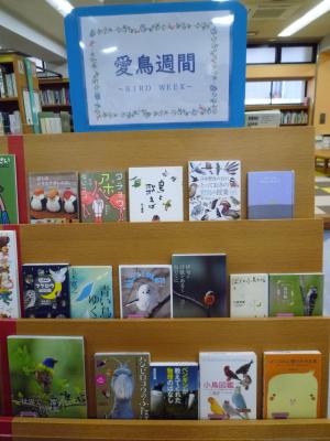 展示「愛鳥週間」の様子