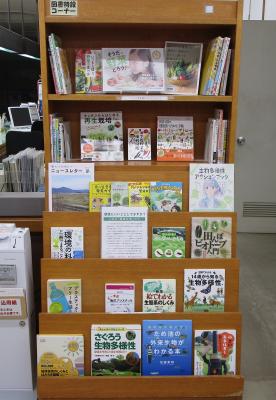 展示の写真