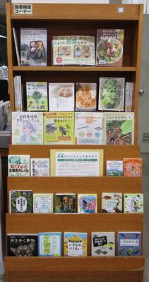 展示の写真