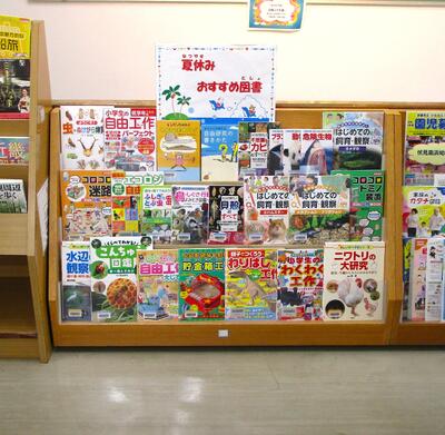 展示の写真