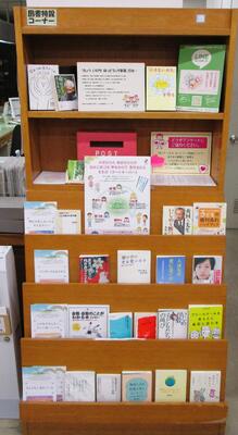 展示の写真