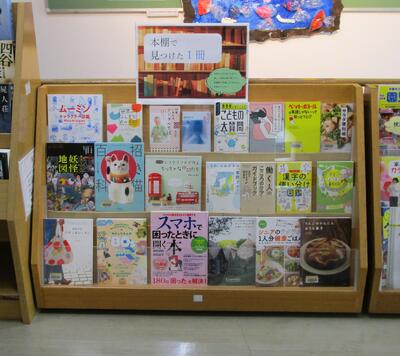展示の写真