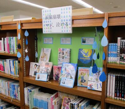 展示の写真